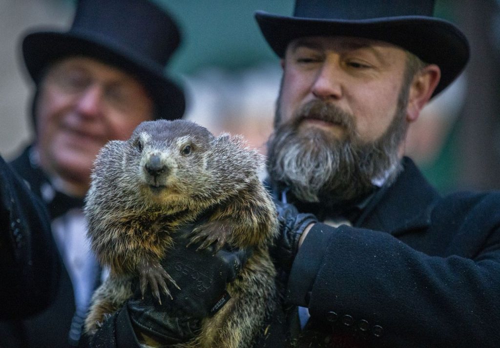 Brian Williams Science | Science of Groundhog Day