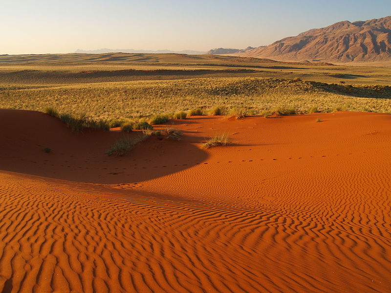 Red sand dune Namibia