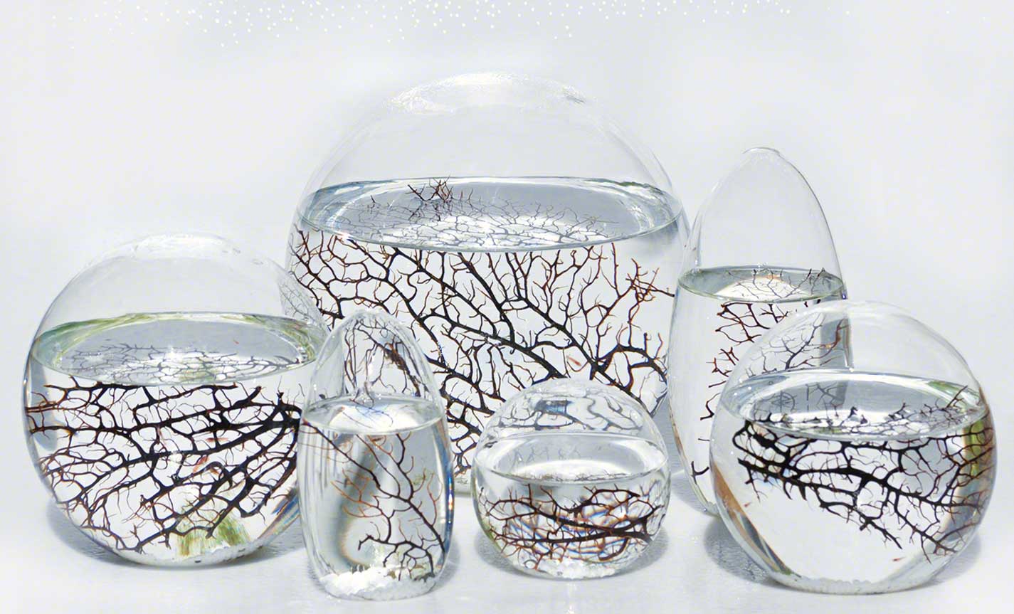 Brian Williams Science  Give the Gift of Wonder: The EcoSphere