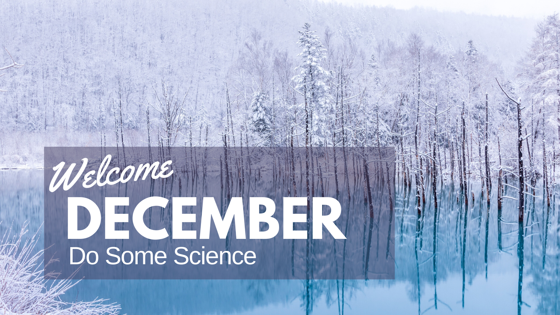 do some science in December