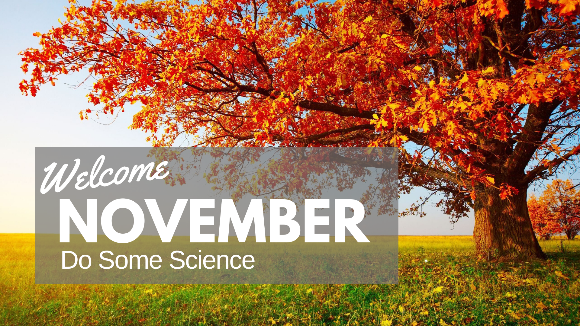 Do Some Science In November