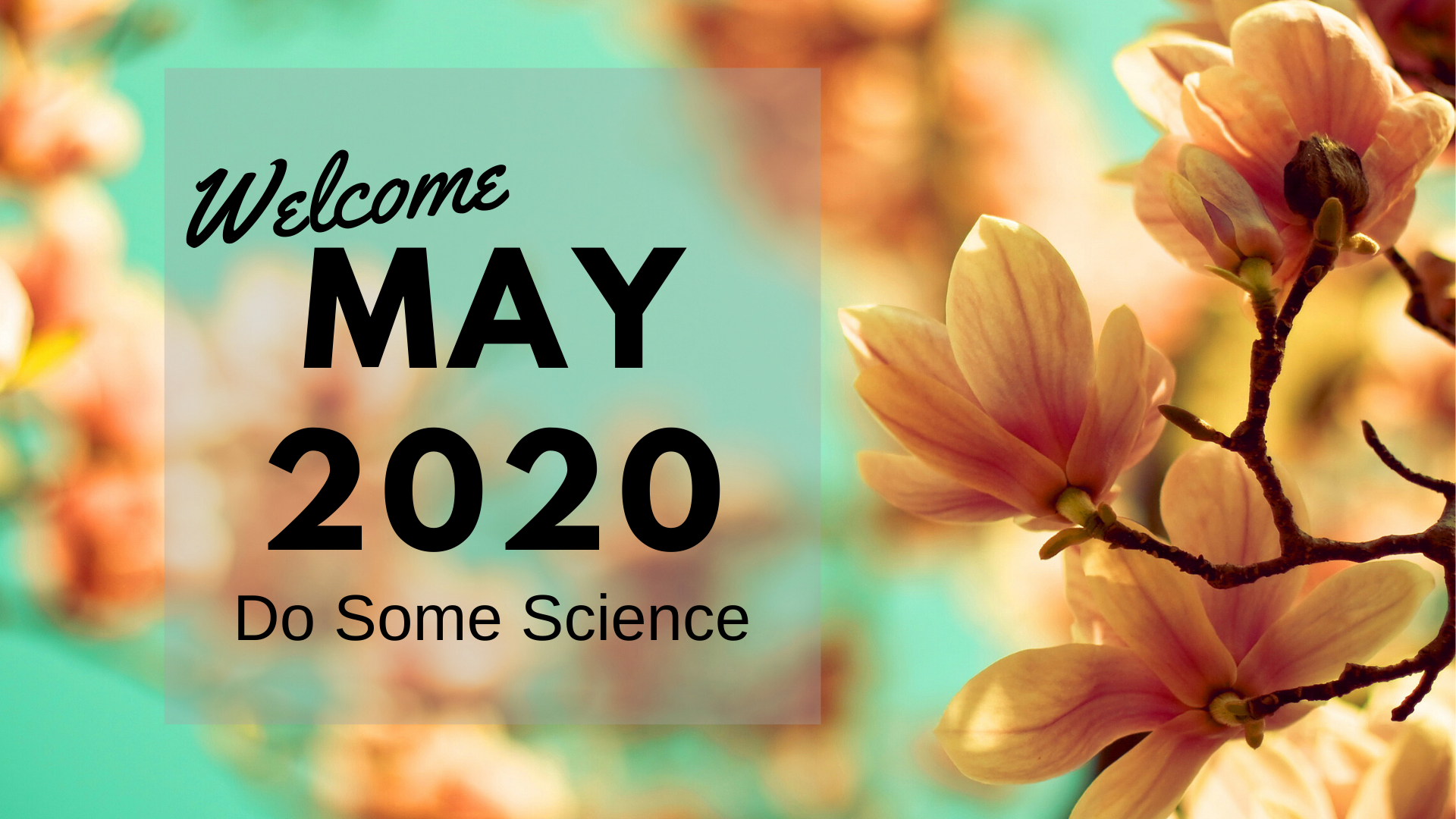 May 2020